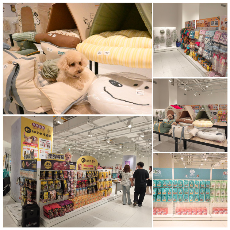 2026世足熱潮延燒毛孩圈！ 「樂芙媽咪 × 毛孩療癒所」漢神洲際購物廣場即日起快閃登場