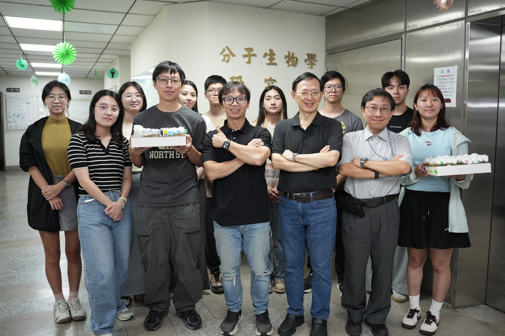 父齡效應  影響的可能不只是精子突變  中興大學團隊用雄果蠅發現：精子幹細胞競爭與老化選汰的分子機制