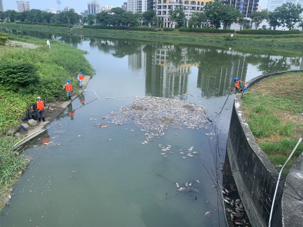 興中制水閘門操作後致魚群死亡　水利局連夜打撈：初判水位降、溶氧低