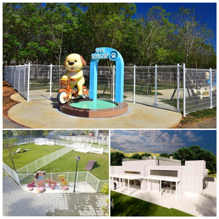 中市寵物友善再升級！寵物公園將達36座全國第一  全國首座公立寵物生命紀念園區11月啟用