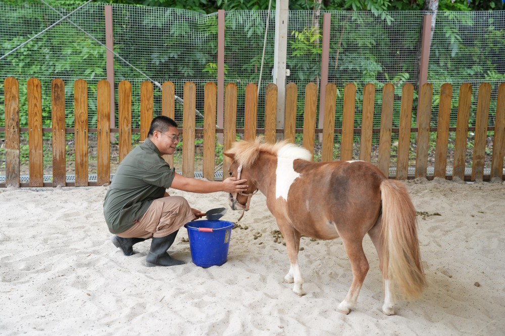 ARKis化身「動物助教」進森林　9/27高雄內門野森動物學校玩出新花樣