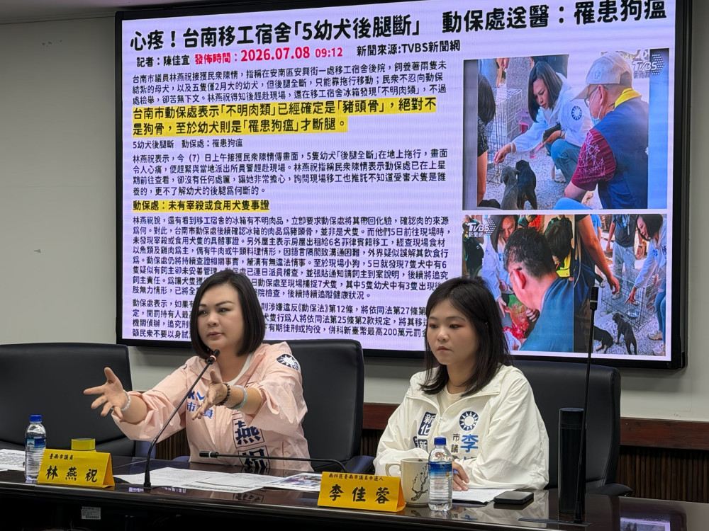 安南區犬肉案鑑定結果出爐 林燕祝：市府全面檢討案件通報與證據保全程序