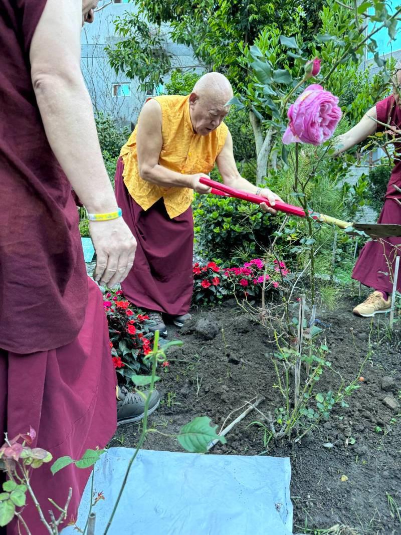 藏傳佛教直貢法王釋迦牟尼佛涅槃日加持   祝福神木谷期再創千年傳奇